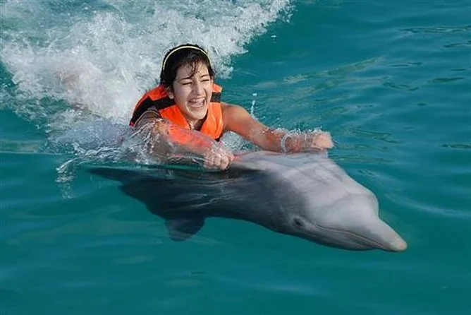 Discover the Thrill of Swimming with Dolphins in Grand Cayman: A Once-in-a-Lifetime Experience Awaits You!